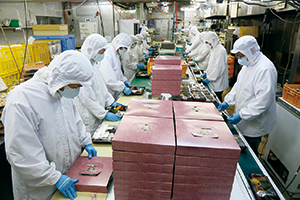 魚磯 会社案内01